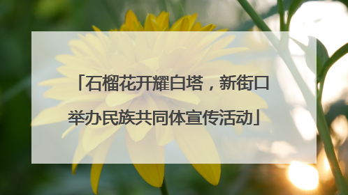 石榴花开耀白塔，新街口举办民族共同体宣传活动