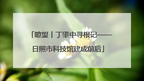 瞭望丨丁肇中寻根记——日照市科技馆建成前后