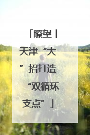 瞭望丨天津“大”招打造“双循环支点”