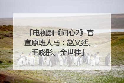 电视剧《问心2》官宣原班人马：赵又廷、毛晓彤、金世佳