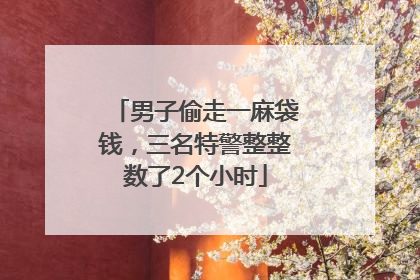 男子偷走一麻袋钱，三名特警整整数了2个小时
