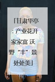 甘肃华亭：产业花开家家富 沃野“丰”景处处美