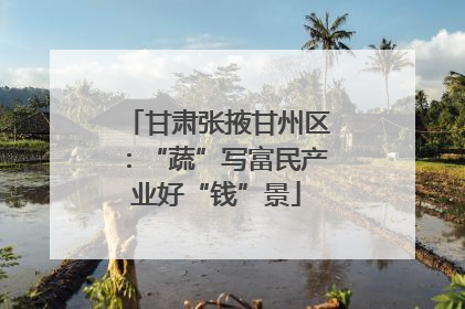 甘肃张掖甘州区：“蔬”写富民产业好“钱”景