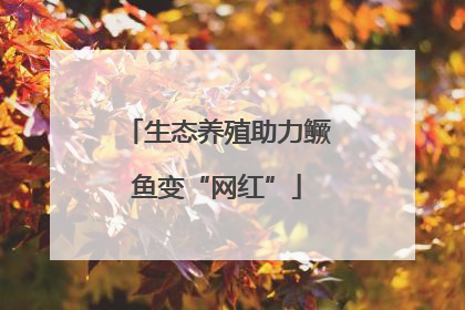 生态养殖助力鳜鱼变“网红”