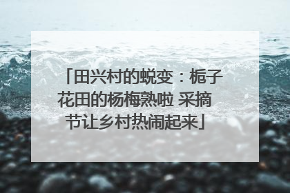 田兴村的蜕变：栀子花田的杨梅熟啦 采摘节让乡村热闹起来