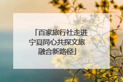 百家旅行社走进宁夏同心共探文旅融合新路径