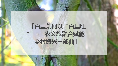 百里荒何以“百里旺”——农文旅融合赋能乡村振兴三部曲