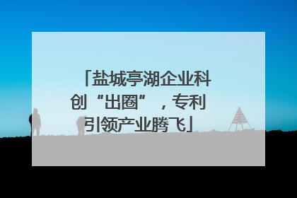 盐城亭湖企业科创“出圈”，专利引领产业腾飞