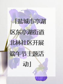 盐城市亭湖区东亭湖街道北林社区开展端午节主题活动