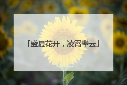 盛夏花开，凌霄攀云