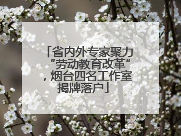 省内外专家聚力“劳动教育改革”，烟台四名工作室揭牌落户