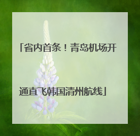 省内首条！青岛机场开通直飞韩国清州航线
