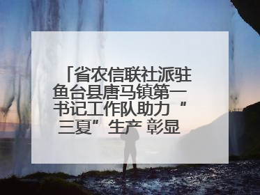 省农信联社派驻鱼台县唐马镇第一书记工作队助力“三夏”生产 彰显为民担当