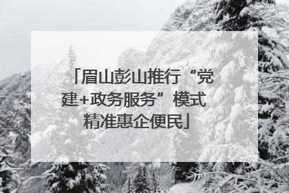 眉山彭山推行“党建+政务服务”模式 精准惠企便民