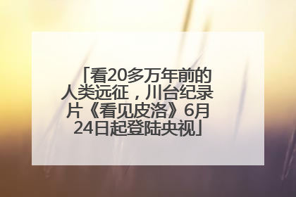 看20多万年前的人类远征，川台纪录片《看见皮洛》6月24日起登陆央视