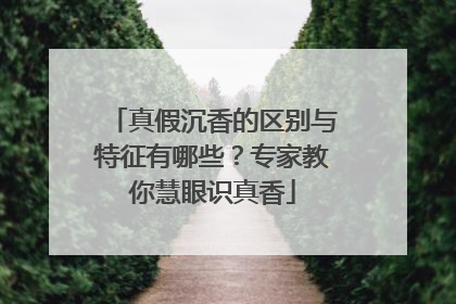 真假沉香的区别与特征有哪些？专家教你慧眼识真香