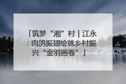 筑梦“湘”村｜江永：肉鸽振翅绘就乡村振兴“金羽画卷”