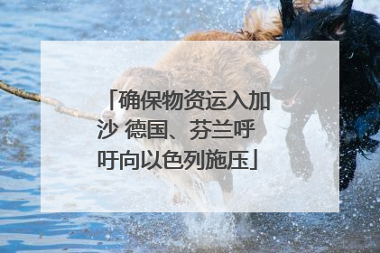 确保物资运入加沙 德国、芬兰呼吁向以色列施压