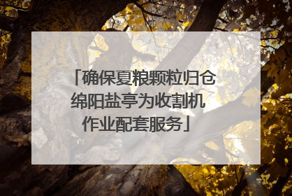 确保夏粮颗粒归仓 绵阳盐亭为收割机作业配套服务
