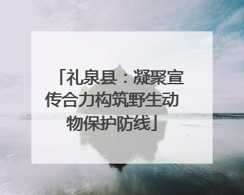 礼泉县：凝聚宣传合力构筑野生动物保护防线