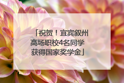 祝贺！宜宾叙州高场职校4名同学获得国家奖学金