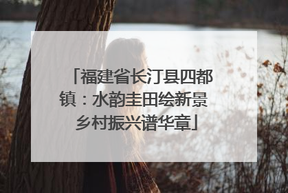 福建省长汀县四都镇：水韵圭田绘新景 乡村振兴谱华章