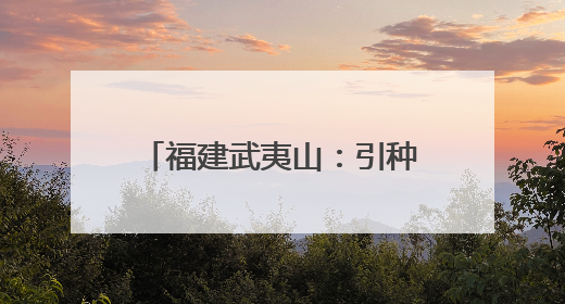 福建武夷山：引种七彩土豆喜获丰收