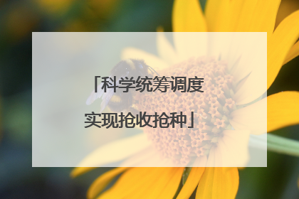 科学统筹调度实现抢收抢种