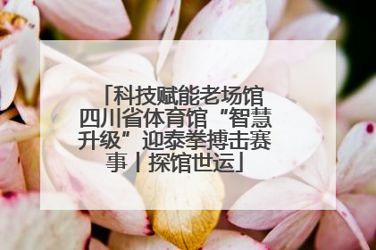科技赋能老场馆 四川省体育馆“智慧升级”迎泰拳搏击赛事丨探馆世运