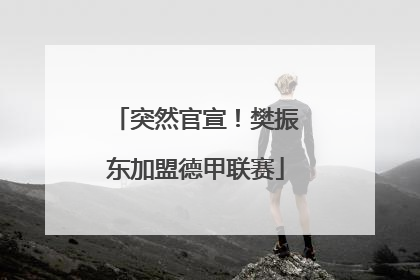 突然官宣！樊振东加盟德甲联赛