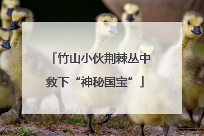 竹山小伙荆棘丛中救下“神秘国宝”