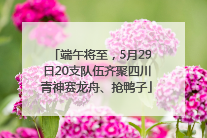 端午将至，5月29日20支队伍齐聚四川青神赛龙舟、抢鸭子