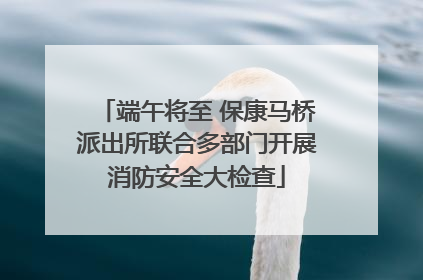 端午将至 保康马桥派出所联合多部门开展消防安全大检查