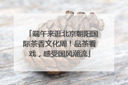 端午来逛北京朝阳国际茶香文化周！品茶看戏，感受国风潮流