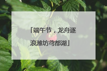 端午节，龙舟逐浪潍坊鸢都湖