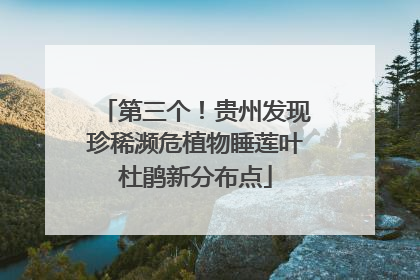 第三个！贵州发现珍稀濒危植物睡莲叶杜鹃新分布点
