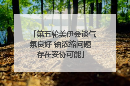 第五轮美伊会谈气氛良好 铀浓缩问题存在妥协可能
