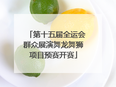 第十五届全运会群众展演舞龙舞狮项目预赛开赛
