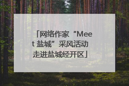 网络作家“Meet 盐城”采风活动走进盐城经开区