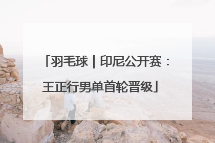 羽毛球｜印尼公开赛：王正行男单首轮晋级
