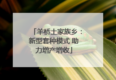 羊桥土家族乡：新型套种模式 助力增产增收