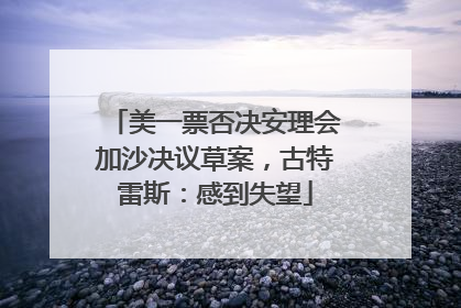 美一票否决安理会加沙决议草案，古特雷斯：感到失望