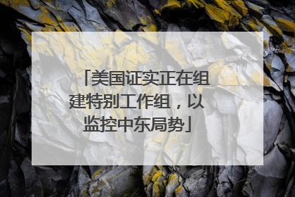 美国证实正在组建特别工作组，以监控中东局势