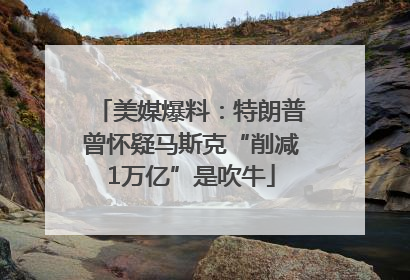 美媒爆料：特朗普曾怀疑马斯克“削减1万亿”是吹牛