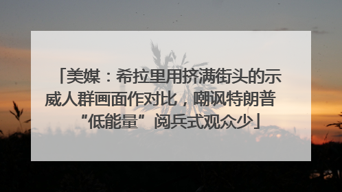 美媒：希拉里用挤满街头的示威人群画面作对比，嘲讽特朗普“低能量”阅兵式观众少
