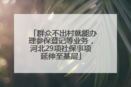 群众不出村就能办理参保登记等业务，河北29项社保事项延伸至基层