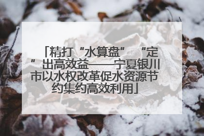 精打“水算盘” “定”出高效益——宁夏银川市以水权改革促水资源节约集约高效利用