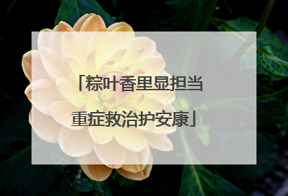 粽叶香里显担当 重症救治护安康
