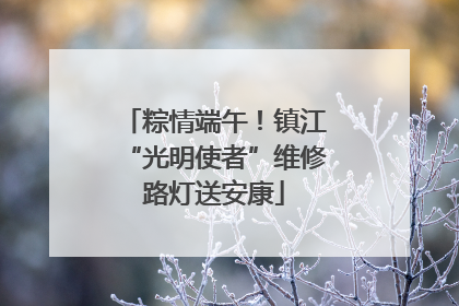 粽情端午！镇江“光明使者”维修路灯送安康