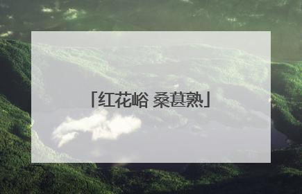 红花峪 桑葚熟